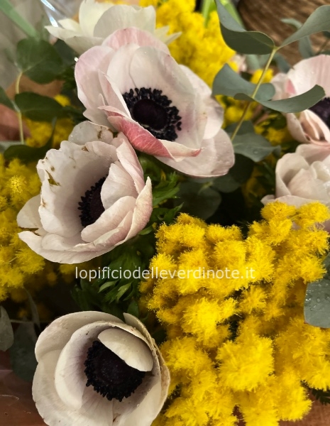 Bouquet di anemoni  con mimosa